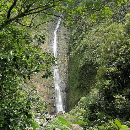 Voyage à La Réunion Voyage à La Réunion de Jean-François P.